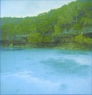 Lebensinhalt Wasser